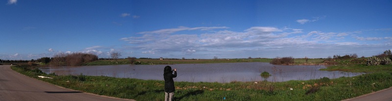 muro tenente muro tenente